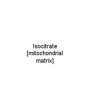 Isocitrate [mitochondrial matrix]